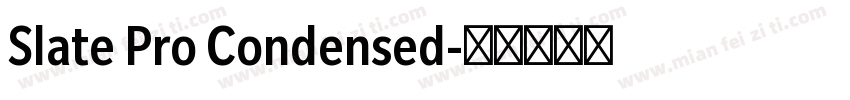 Slate Pro Condensed字体转换